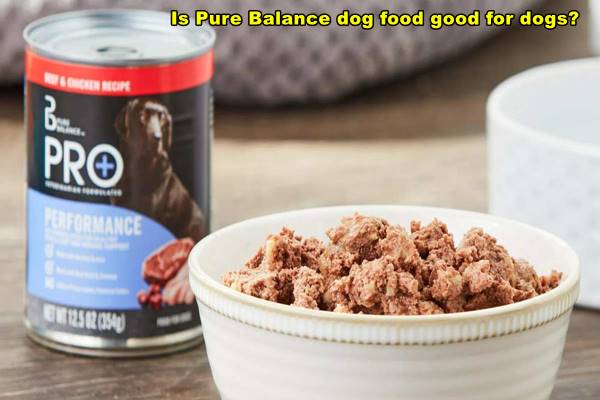 Is Pure Balance dog food good for dogs?